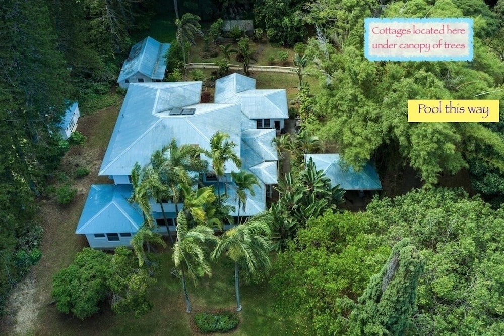 Photo of Others in Hawi
