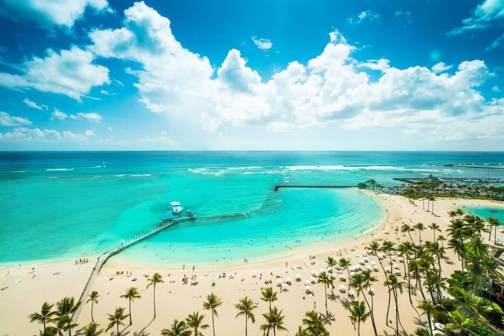 Photo of Others in Waikiki