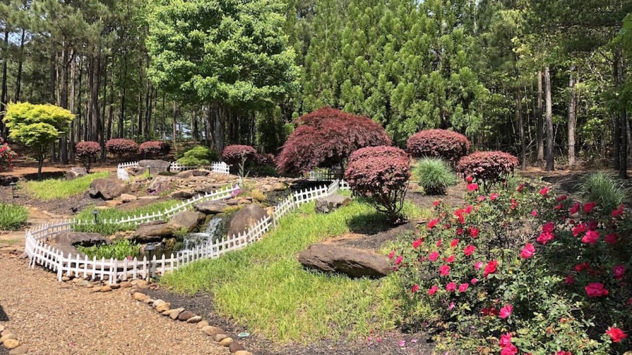 Photo of Outdoor in Central