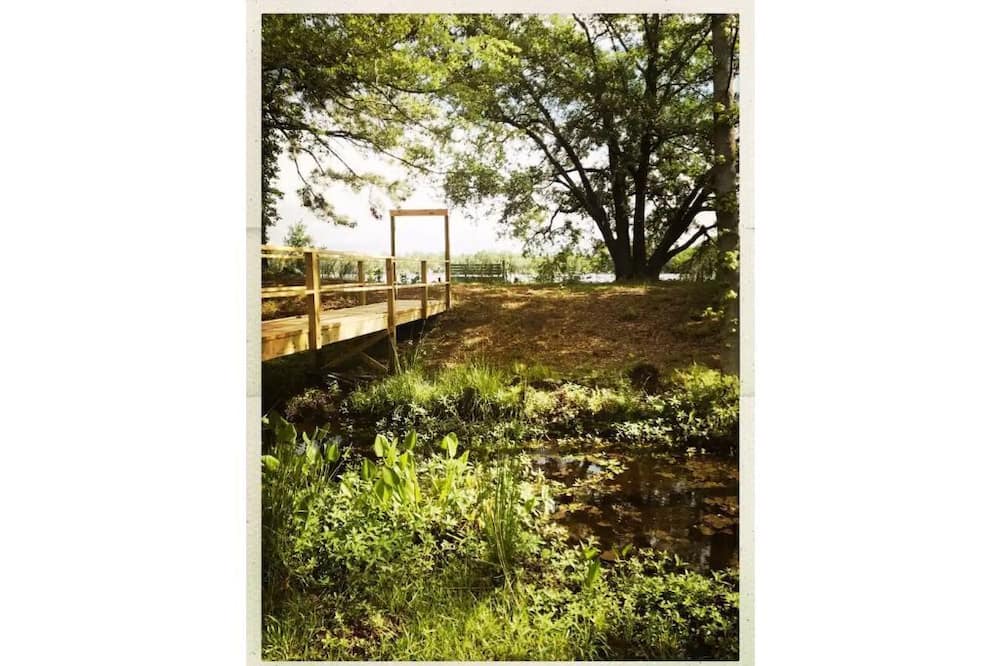 Photo of Outdoor in Cordesville