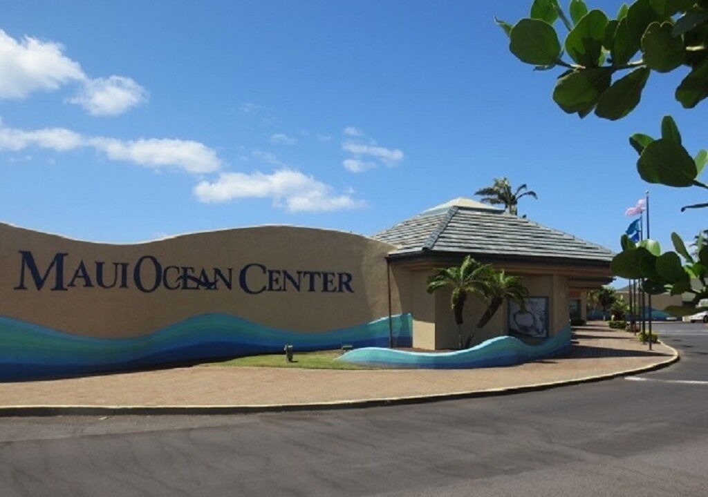 Photo of Outdoor in Maalaea