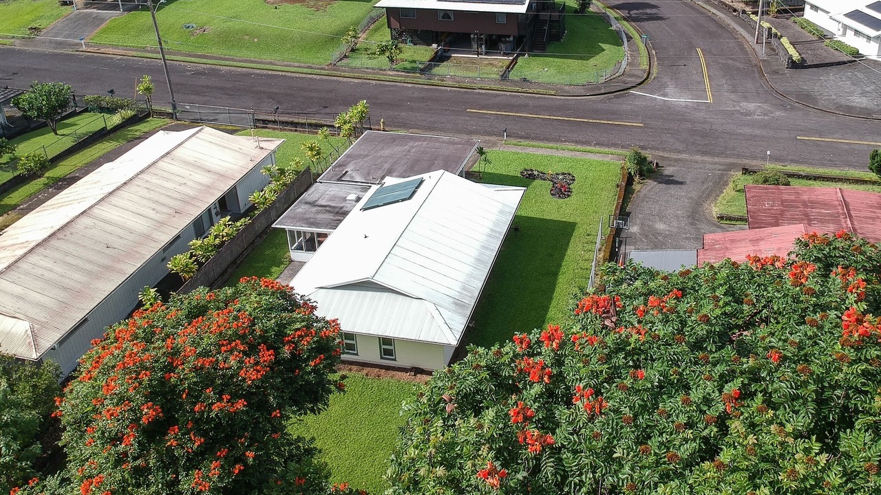 Photo of Others in Hilo