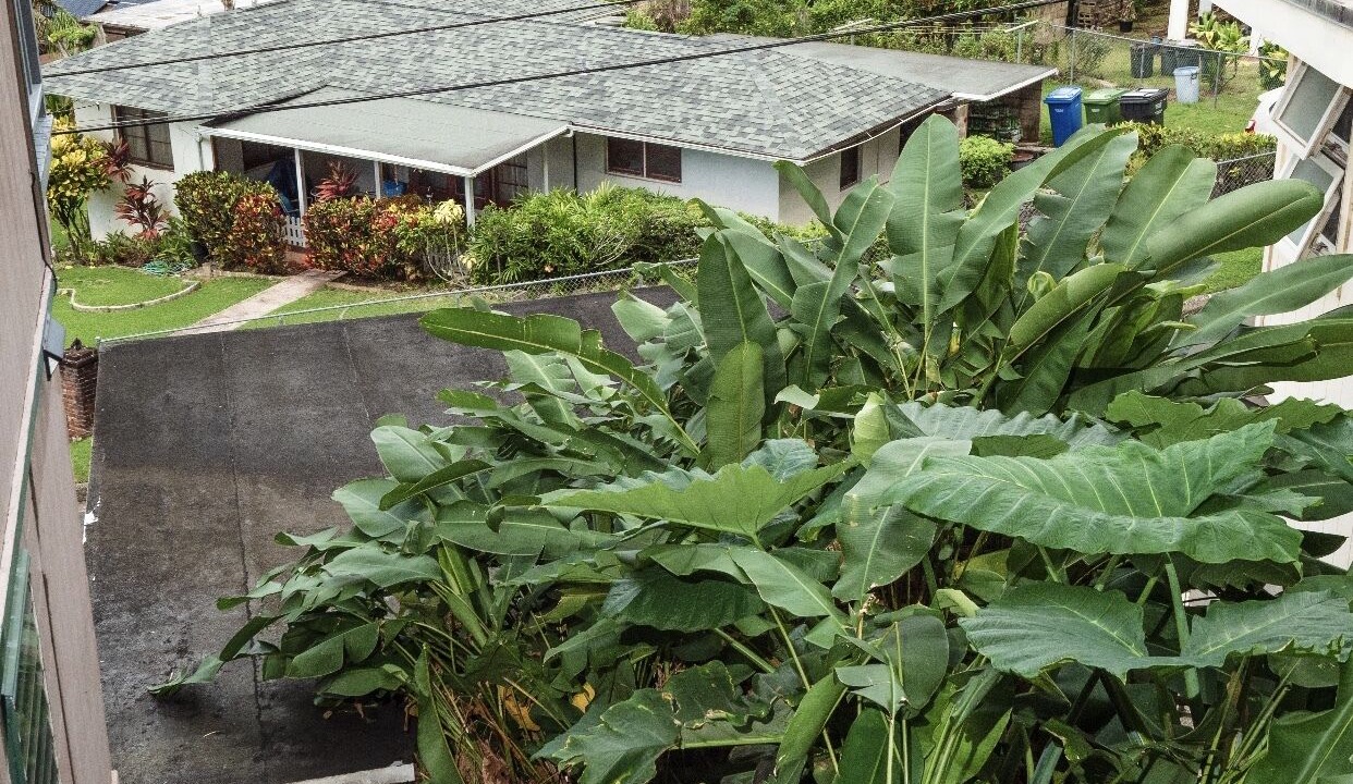 Photo of Outdoor in Kalihi Valley
