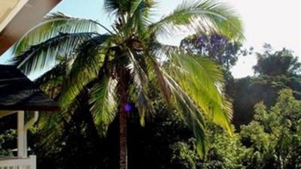 Photo of Outdoor in Pauwela
