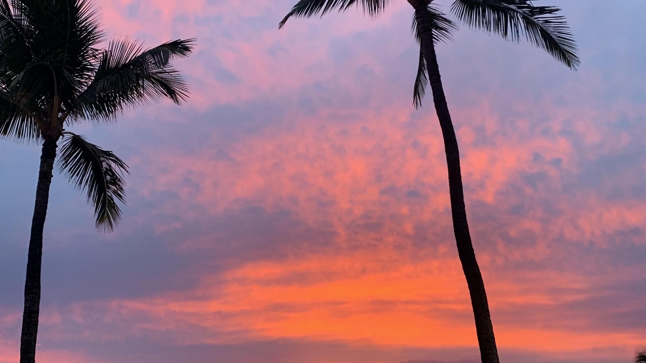 Photo of Others in Makaha