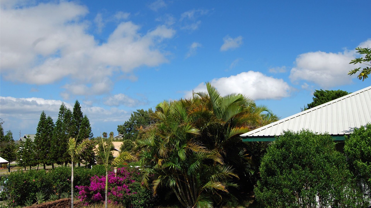 Photo of Outdoor in Kamuela