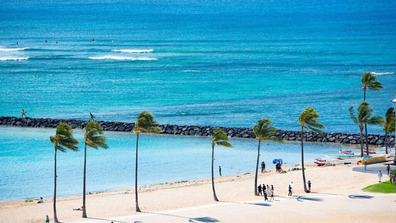 Photo of Others in Waikiki