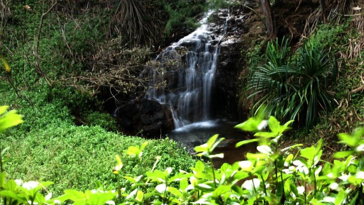 Photo of Outdoor in Honaunau-Napoopoo