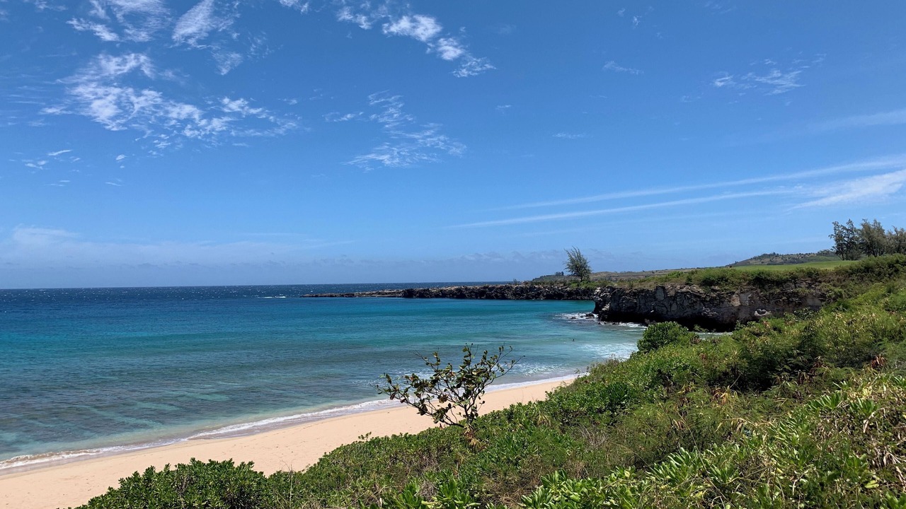 Photo of Others in Kapalua