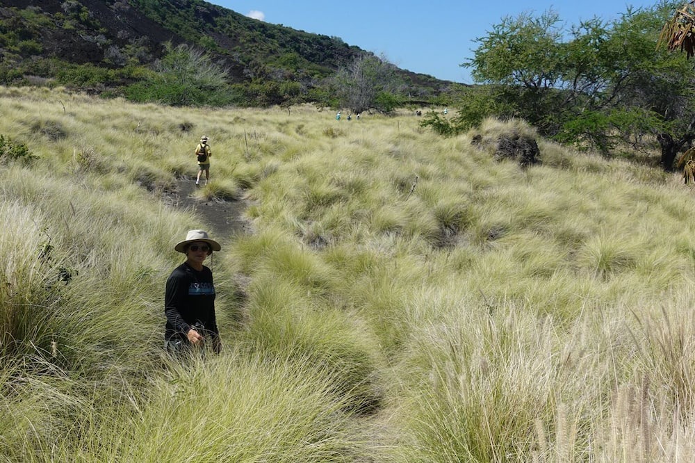 Photo of Others in Kona Paradise