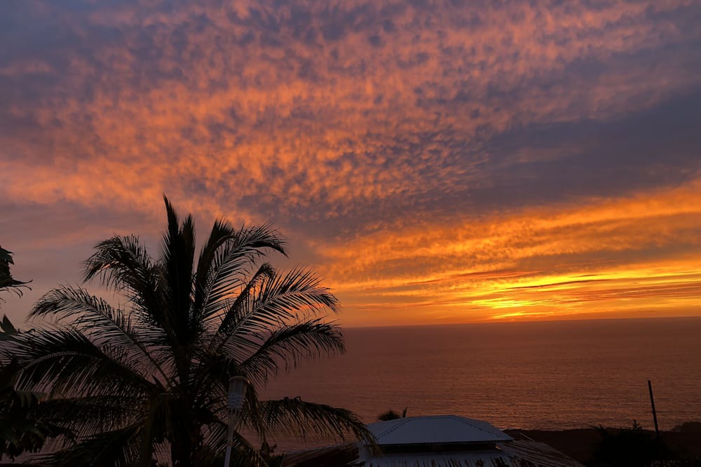 Photo of Others in Kona Paradise