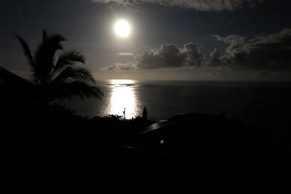Photo of Others in Kona Paradise