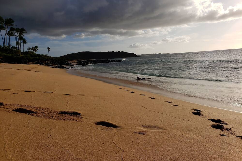 Photo of Outdoor in Maunaloa