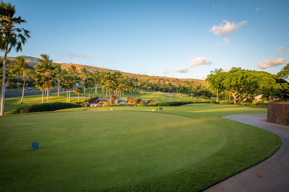 Photo of Others in Ko Olina