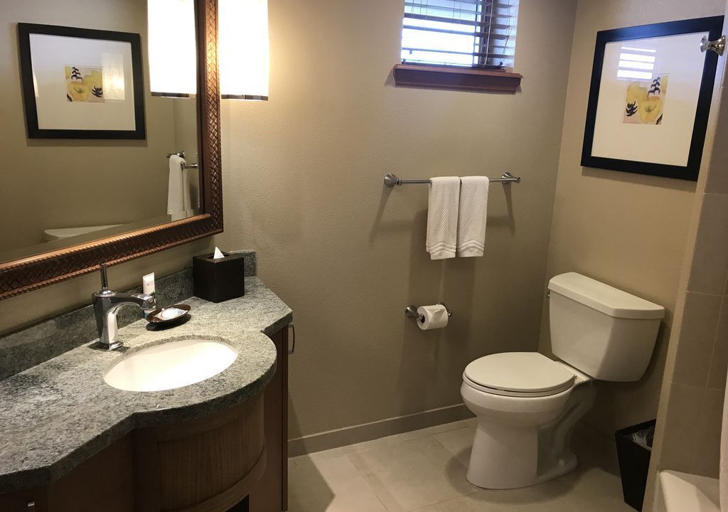 Photo of Others in Kaanapali