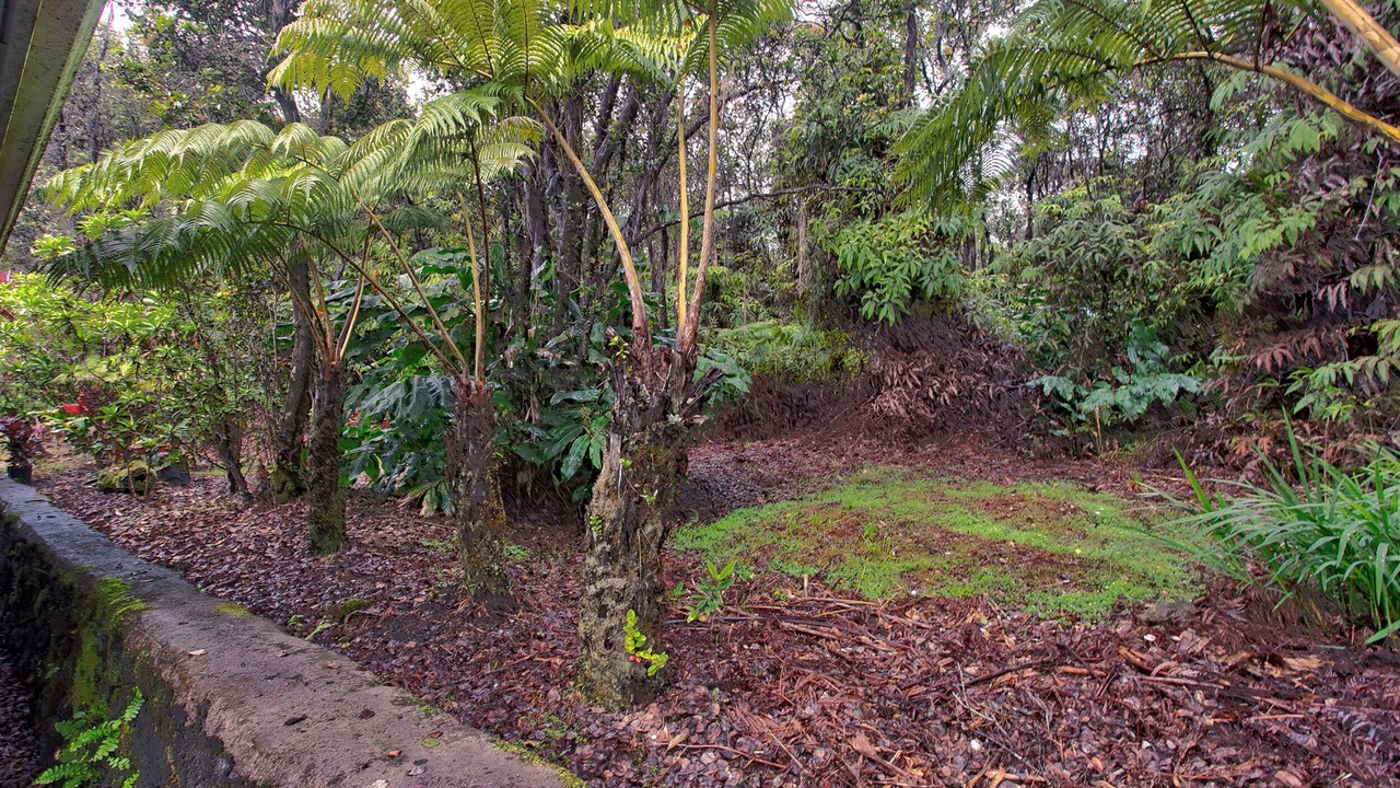 Photo of Outdoor in Ohia Estates
