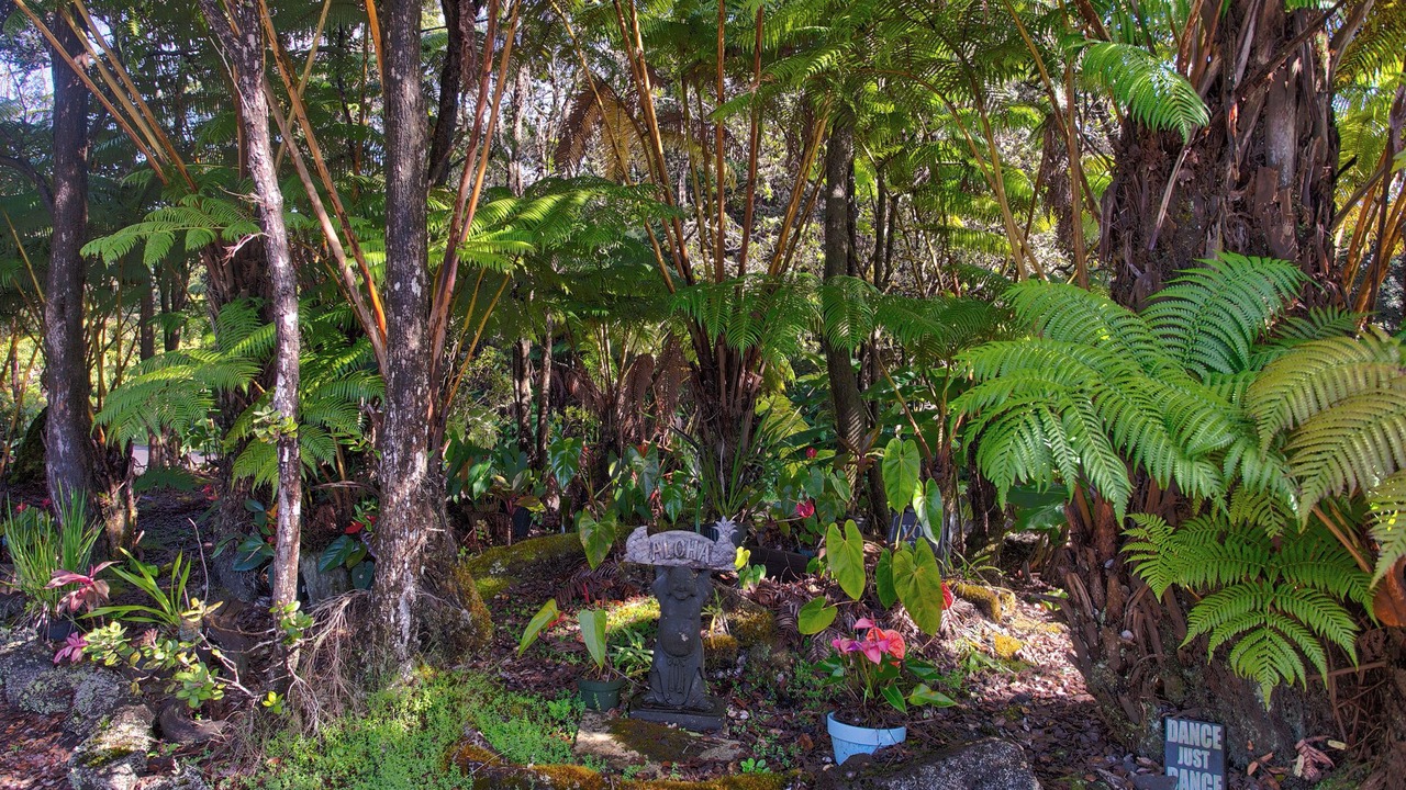 Photo of Outdoor in Ohia Estates