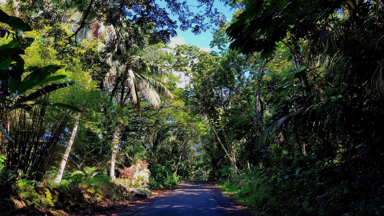 Photo of Outdoor in Ohia Estates