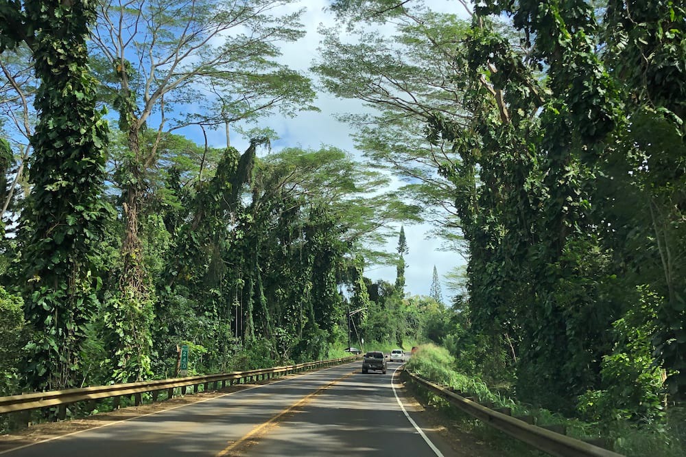 Photo of Others in Princeville