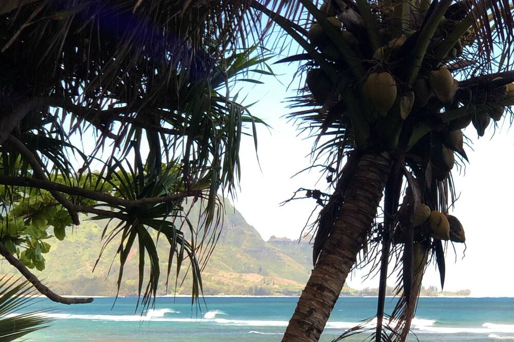 Photo of Others in Princeville