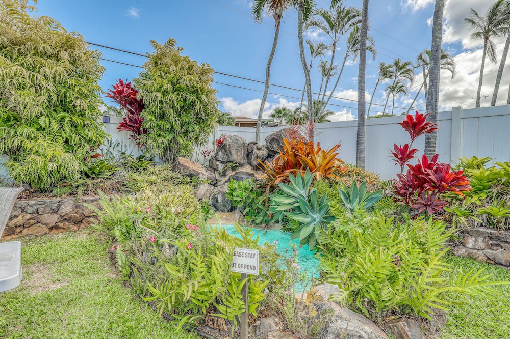 Photo of Others in Napili
