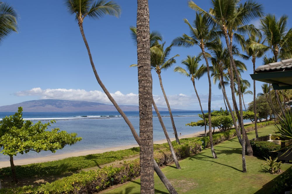 Photo of Others in Historic Lahaina Front Street