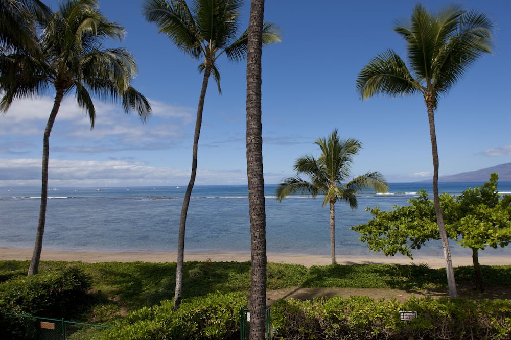 Photo of Others in Historic Lahaina Front Street