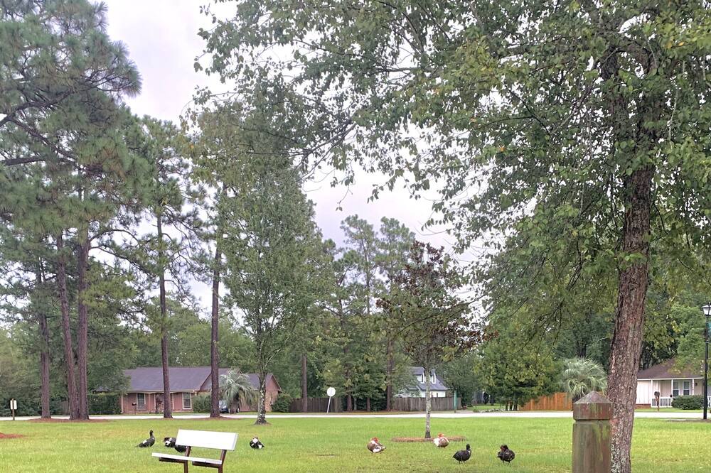 Photo of Outdoor in Summerville