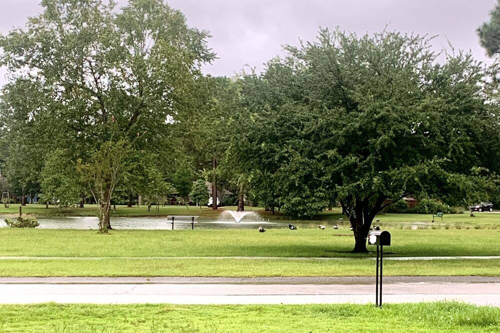 Photo of Outdoor in Summerville