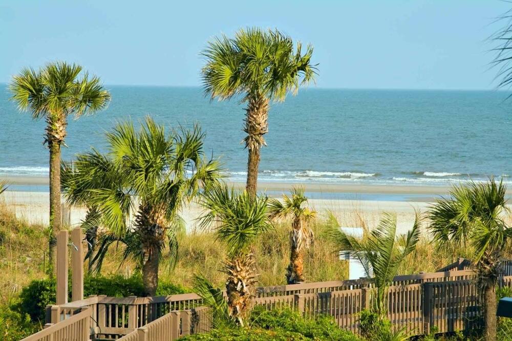 Photo of Others in Palmetto Dunes