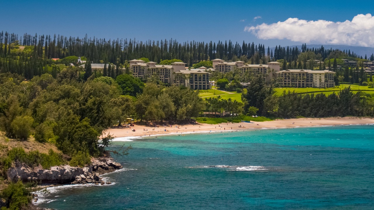 Photo of Others in Kapalua