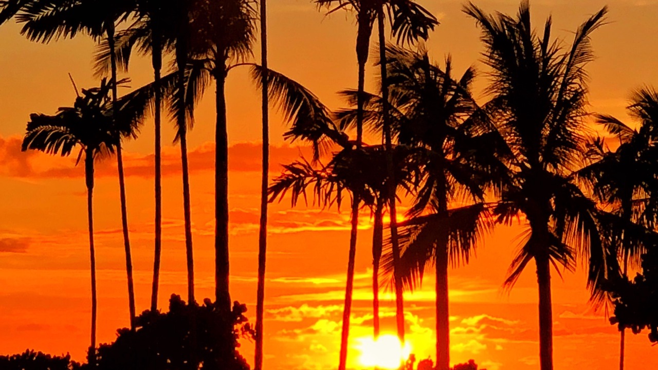 Photo of Outdoor in Waianae