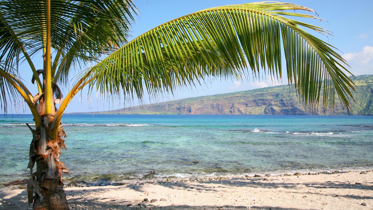 Photo of Others in Waikoloa