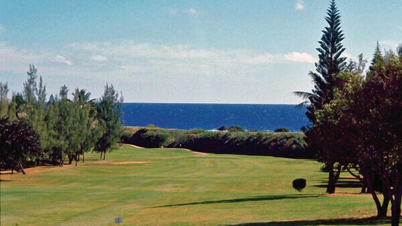 Photo of Others in Hawaii Kai