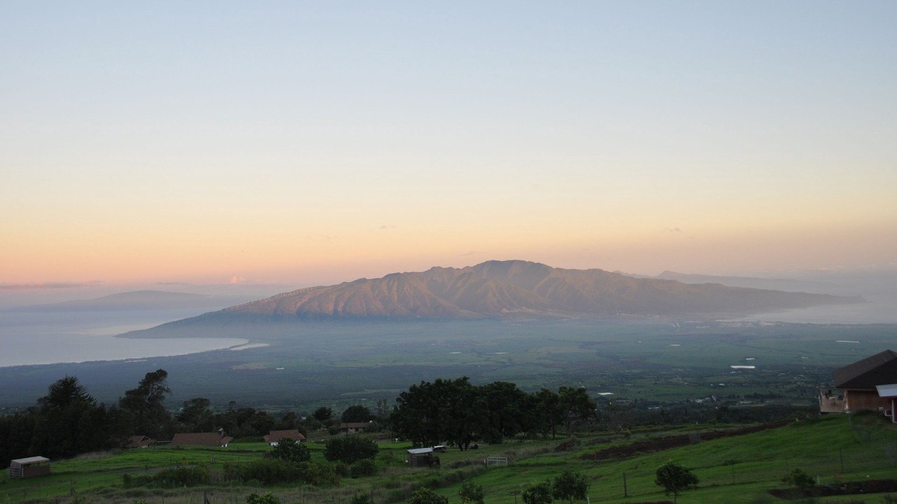 Photo of Others in Kula