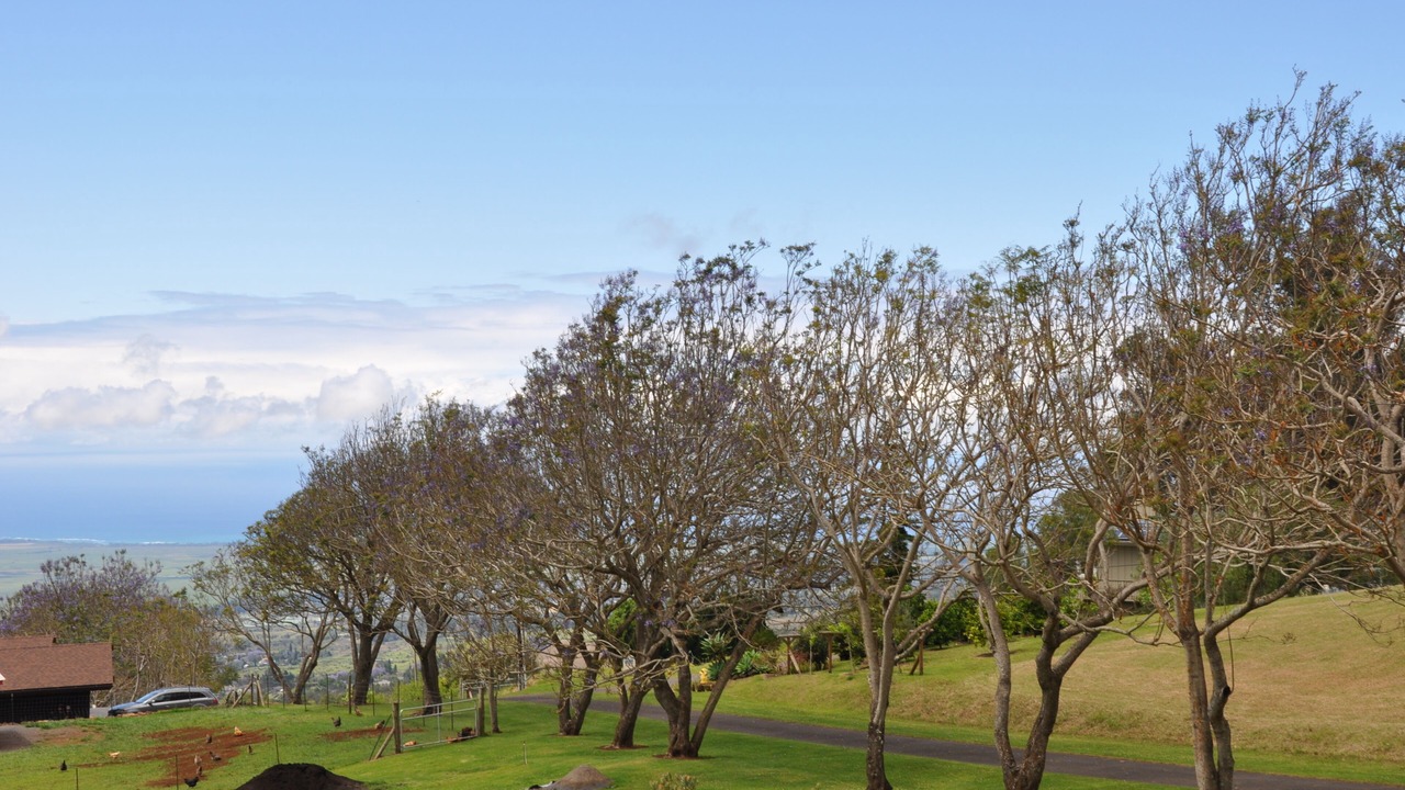 Photo of Outdoor in Kula