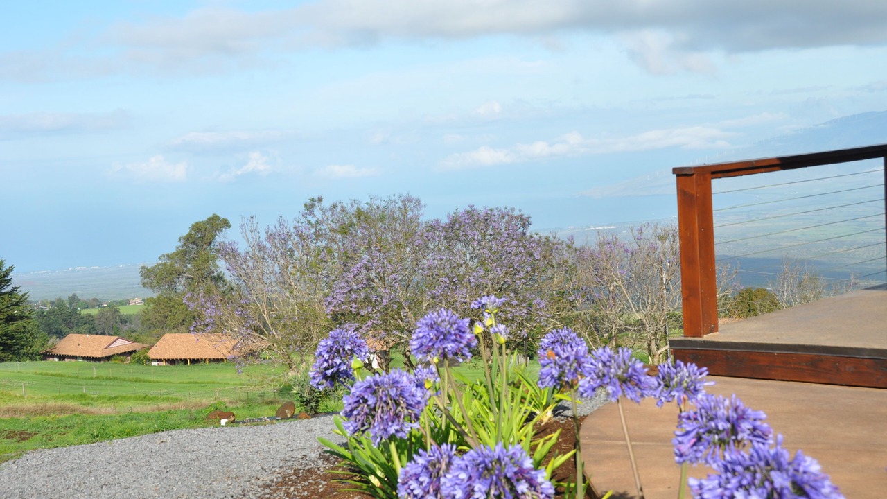 Photo of Outdoor in Kula
