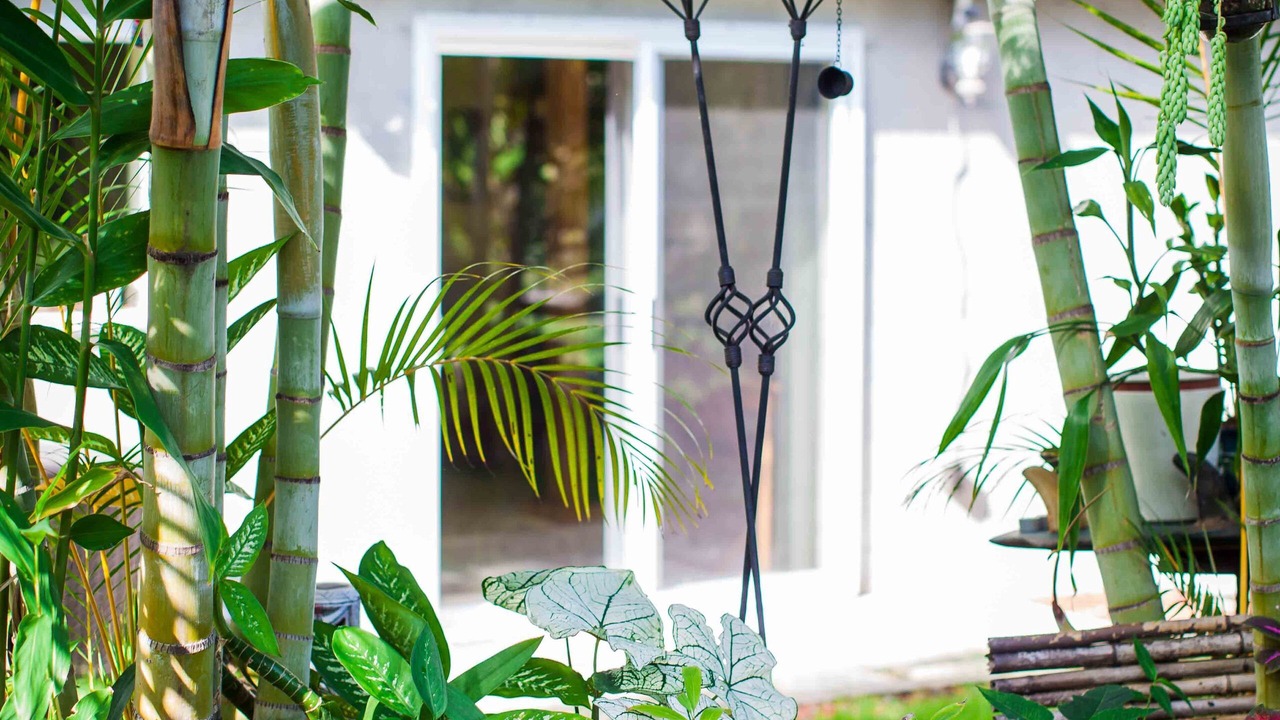Photo of Outdoor in Kona Palisades