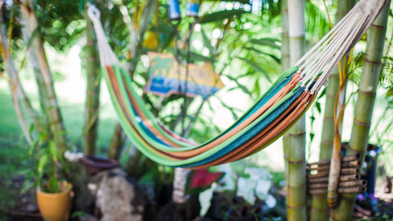 Photo of Outdoor in Kona Palisades