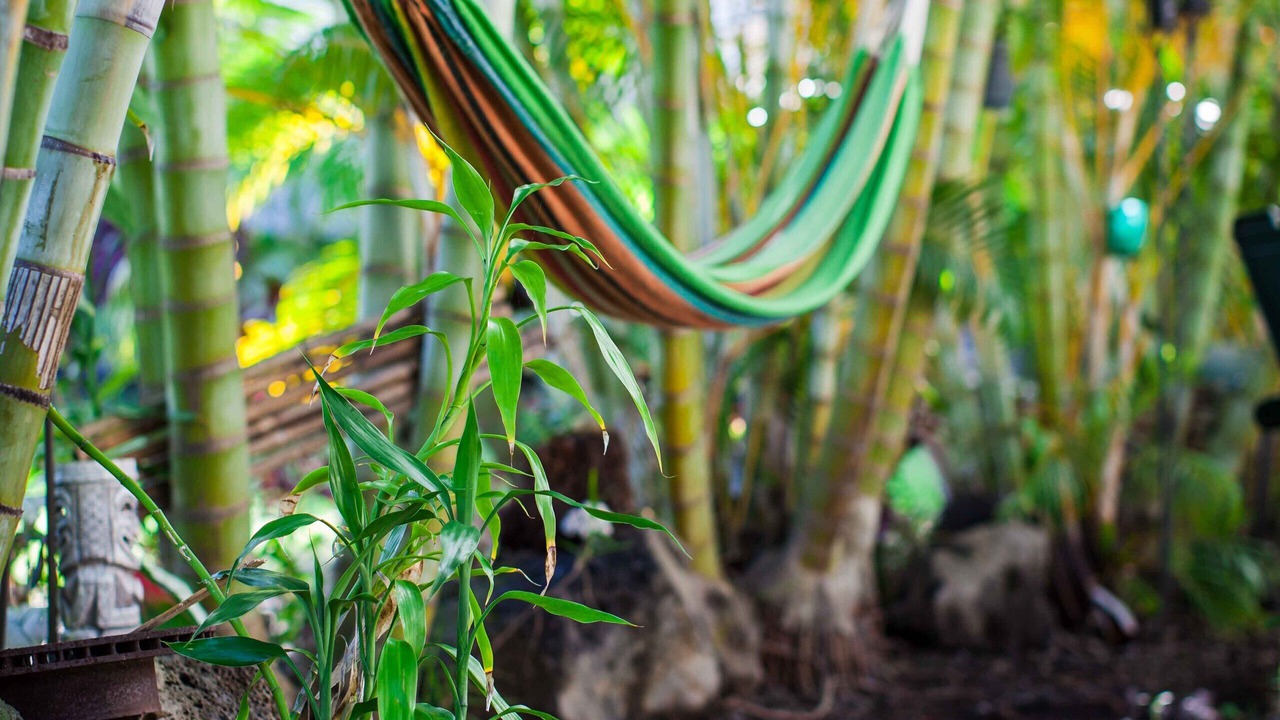 Photo of Outdoor in Kona Palisades