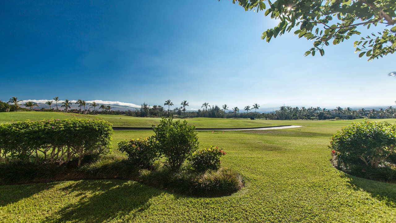Photo of Others in Waikoloa