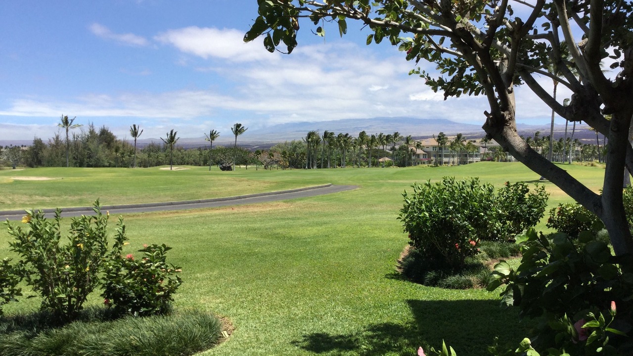 Photo of Others in Waikoloa