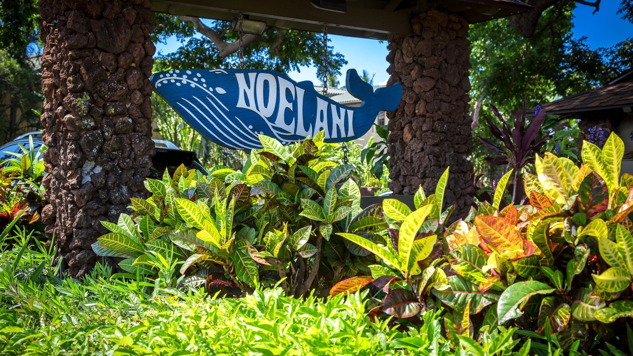 Photo of Outdoor in Kahana
