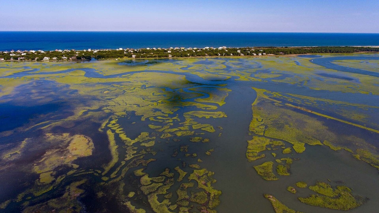 Photo of Outdoor in Debordieu Colony