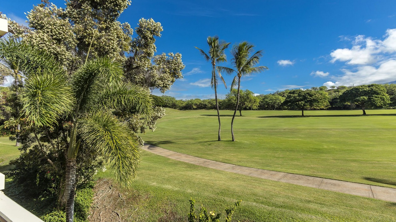 Photo of Others in Wailea