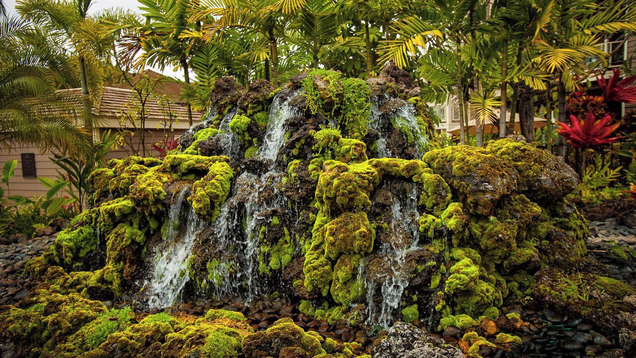 Photo of Outdoor in Wailea