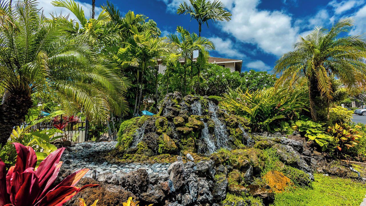 Photo of Outdoor in Wailea