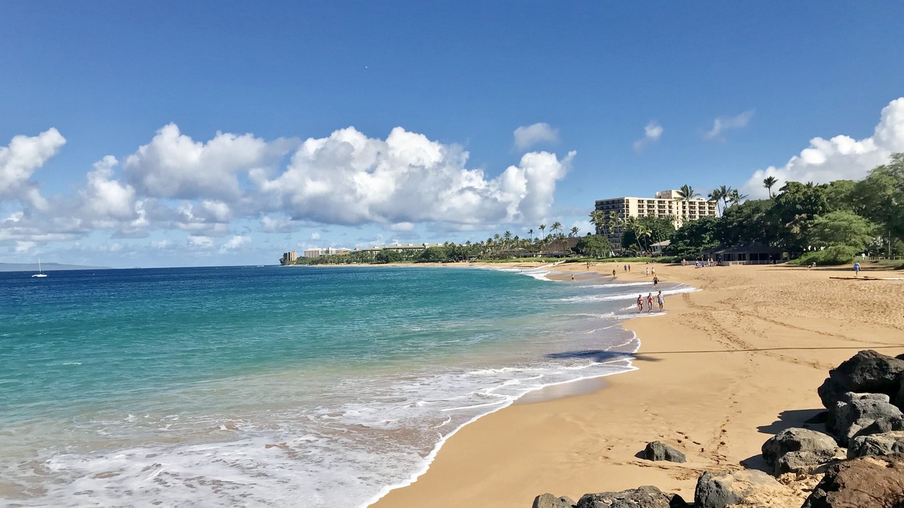 Photo of Others in Lahaina