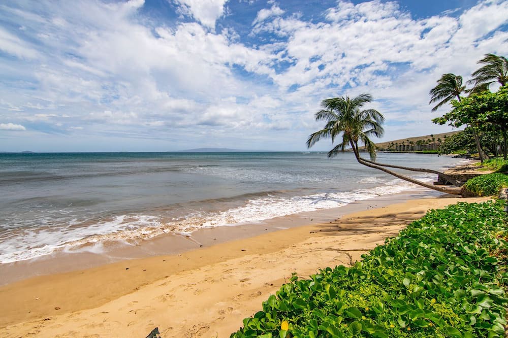 Photo of Others in Maalaea