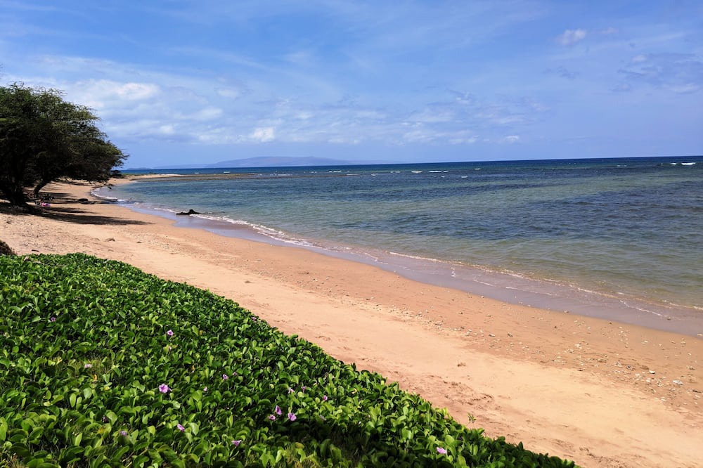 Photo of Others in Kihei